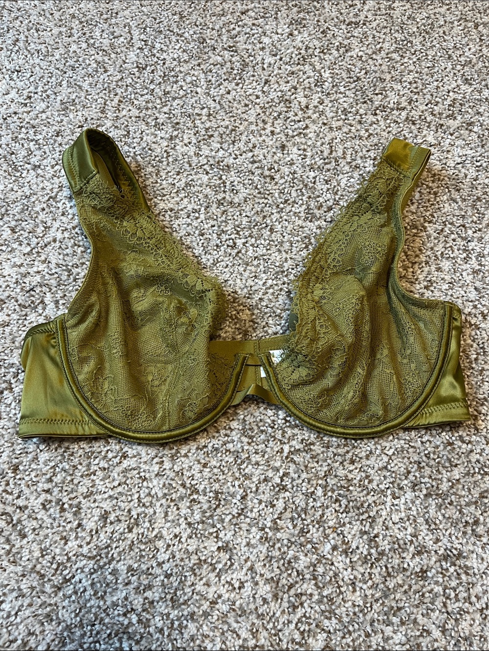 aerie Plunge Olive Lace Underwire Bra